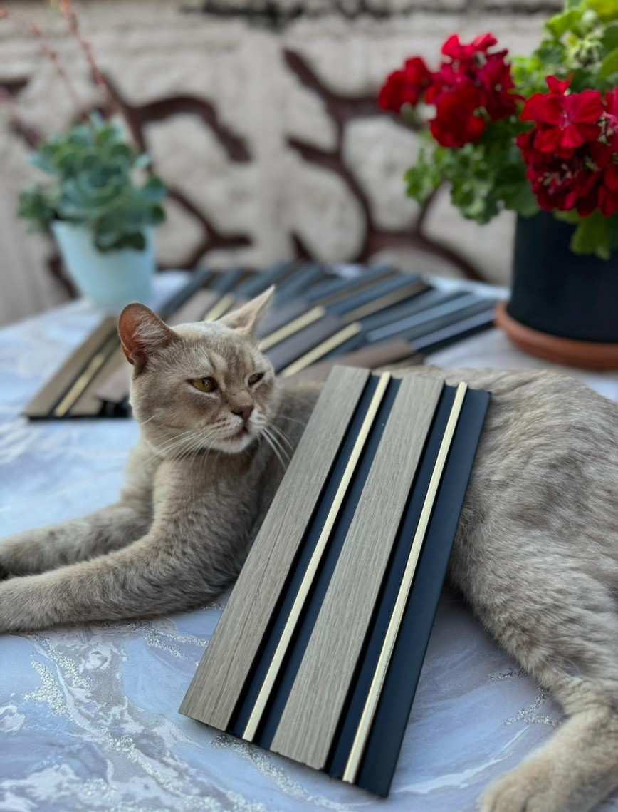 (20'Lİ PAKET) PVC Panel | C-10 