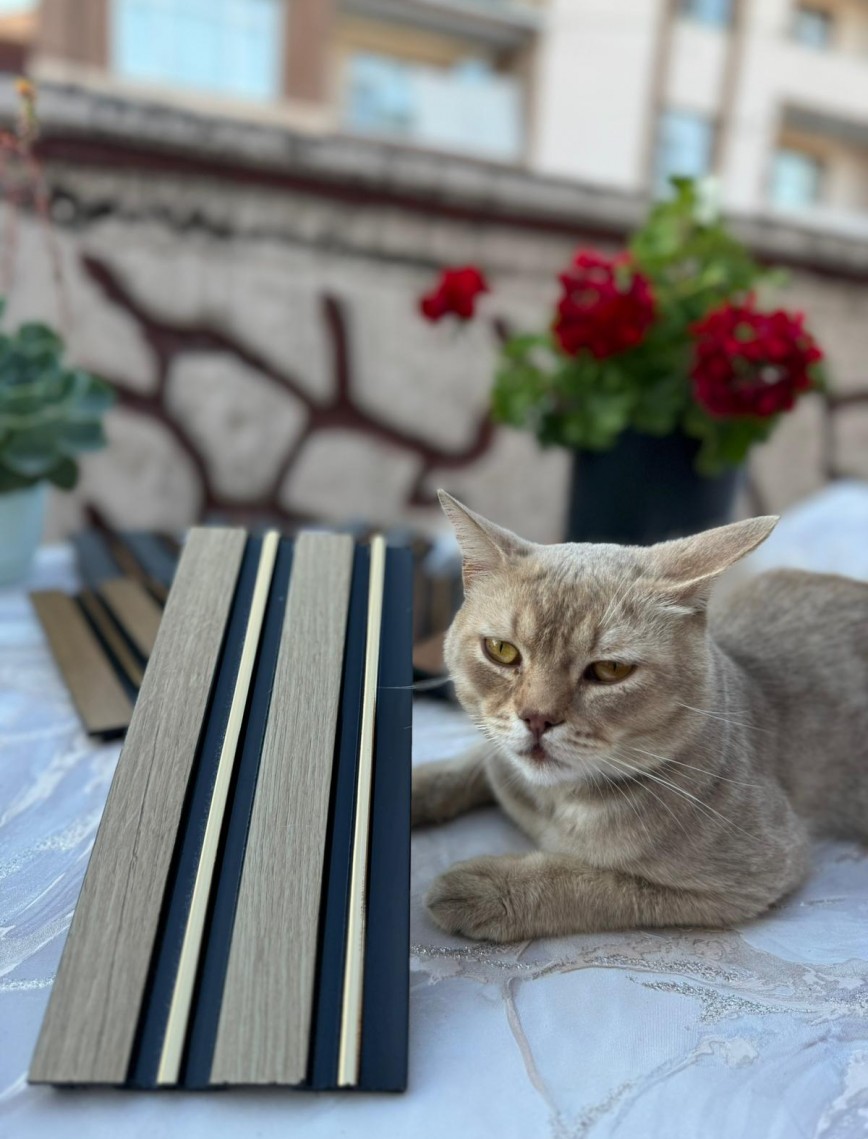 (20'Lİ PAKET) PVC Panel | C-10 