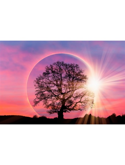 POSTER | Ağaç 1000-12