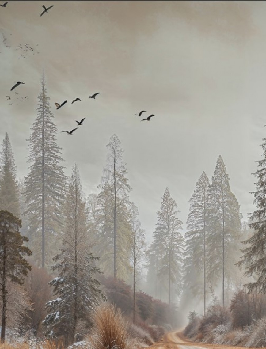 POSTER | Ağaç 1000-51