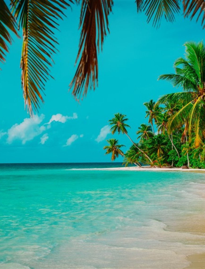 POSTER | Deniz 1004-33