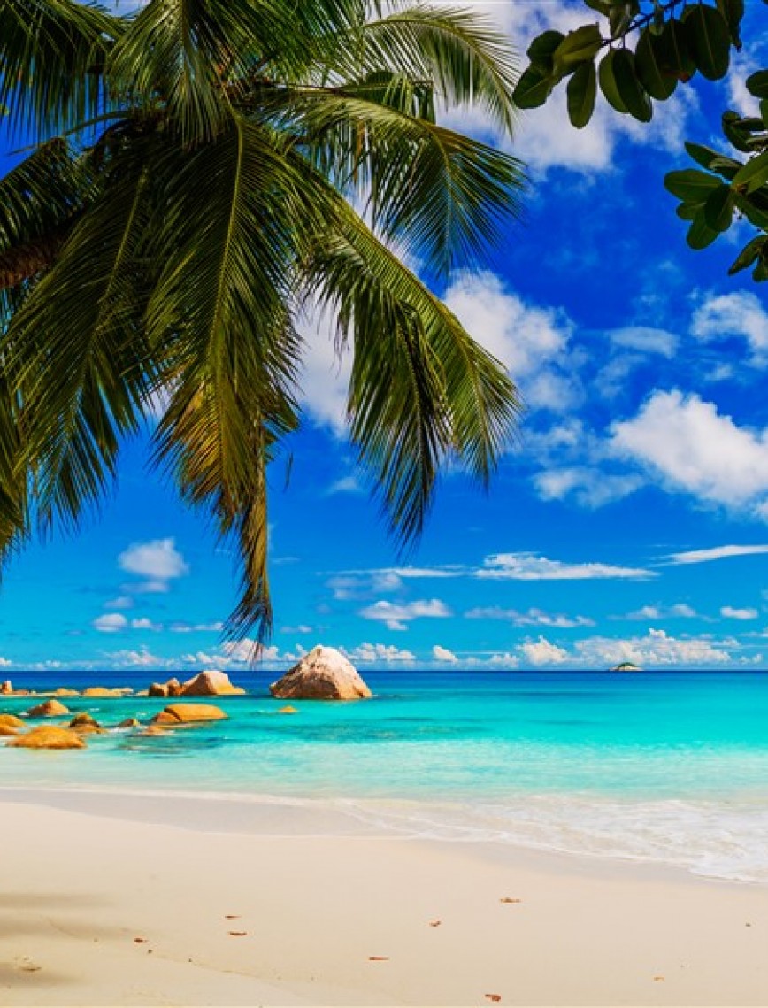 POSTER | Deniz 1004-35