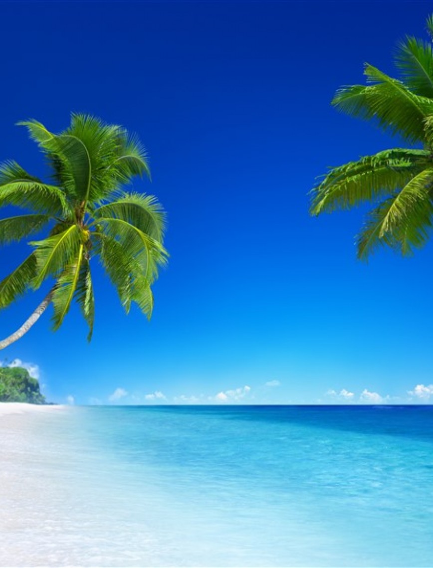 POSTER | Deniz 1004-36