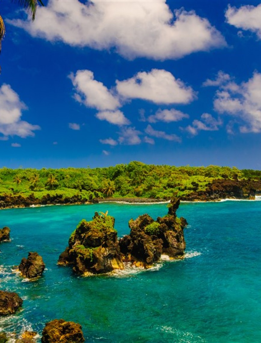 POSTER | Deniz 1004-37