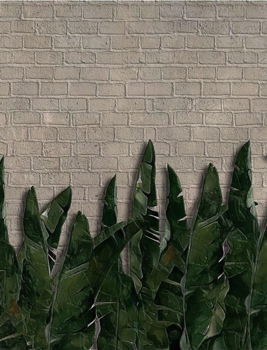 POSTER | Yaprak 1012-25