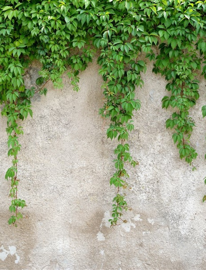 POSTER | Yaprak 1012-27